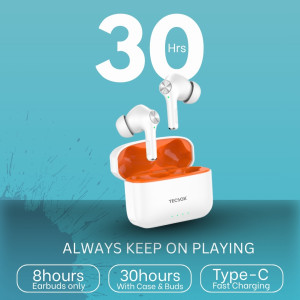 TecSox Neo411 Wireless Earbuds — High-Resolution Audio, 30 Hr Playtime, Ergonomic Fit & IPX Water-Resistant- Pack of 5